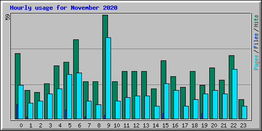 Hourly usage for November 2020